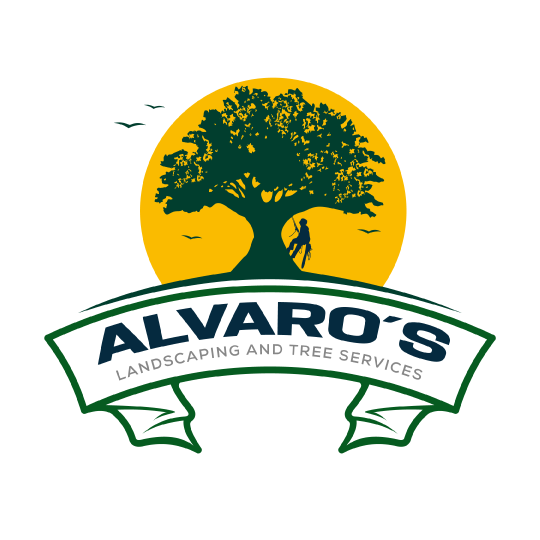 Tree Services Austin Texas | Alvaro's Landscaping & Tree Services